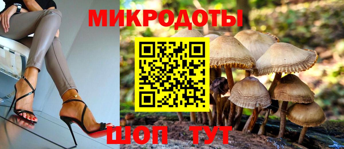 хочу   Вход с VPN  Сухой Лог  Псилоцибиновые грибы Cubensis 