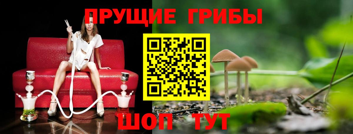 Галлюциногенные грибы GOLDEN TEACHER Сухой Лог